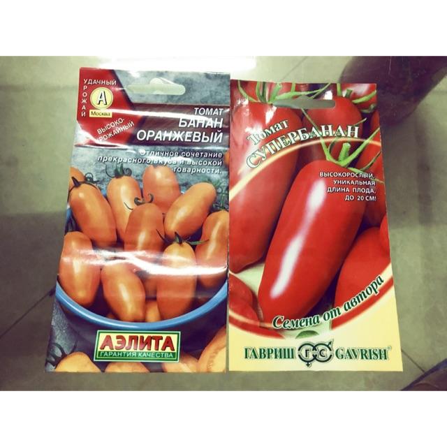 Hạt giống cà chua chuối