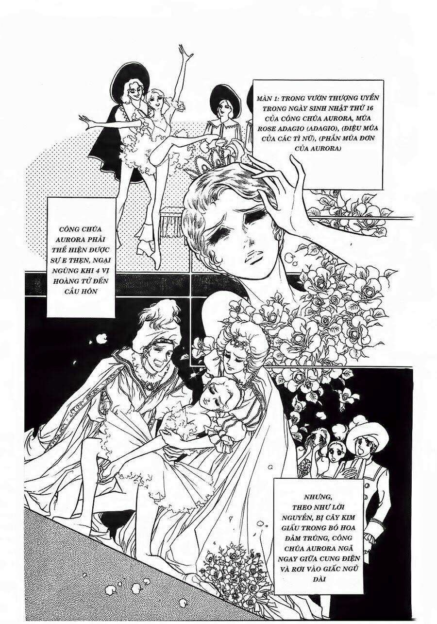 swan - vũ khúc thiên nga chapter 21 14