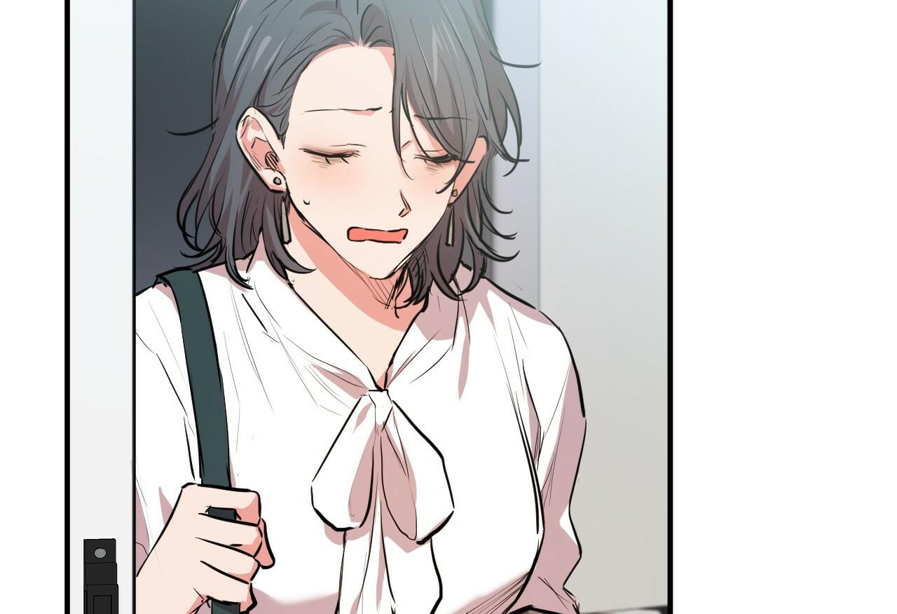 đàn thỏ của habibi chapter 28 10