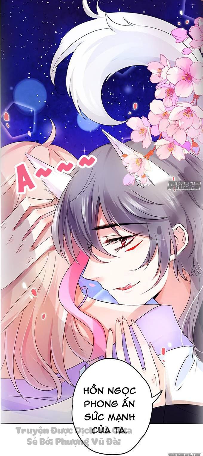 hồ tiên hung bạo chapter 0 6