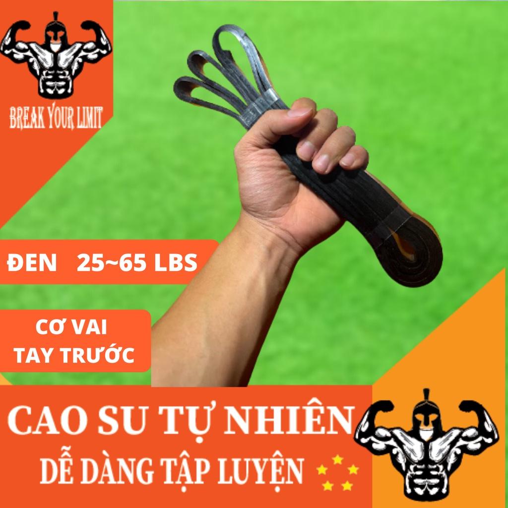 Dây đàn hồi đa năng kháng lực Power Band tập luyện Squat, Chống đẩy, Cơ tay trong Gym, Calisthenics, Streetworkout, Yoga