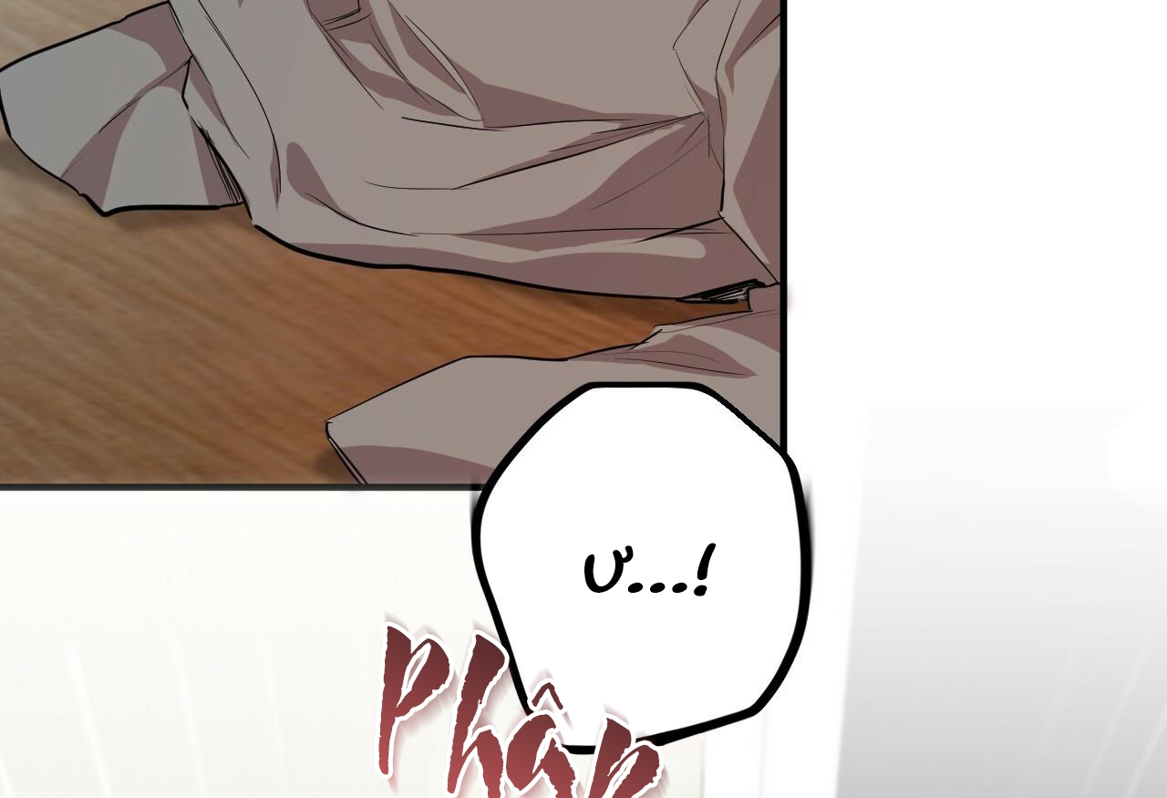 đàn thỏ của habibi chapter 28 239