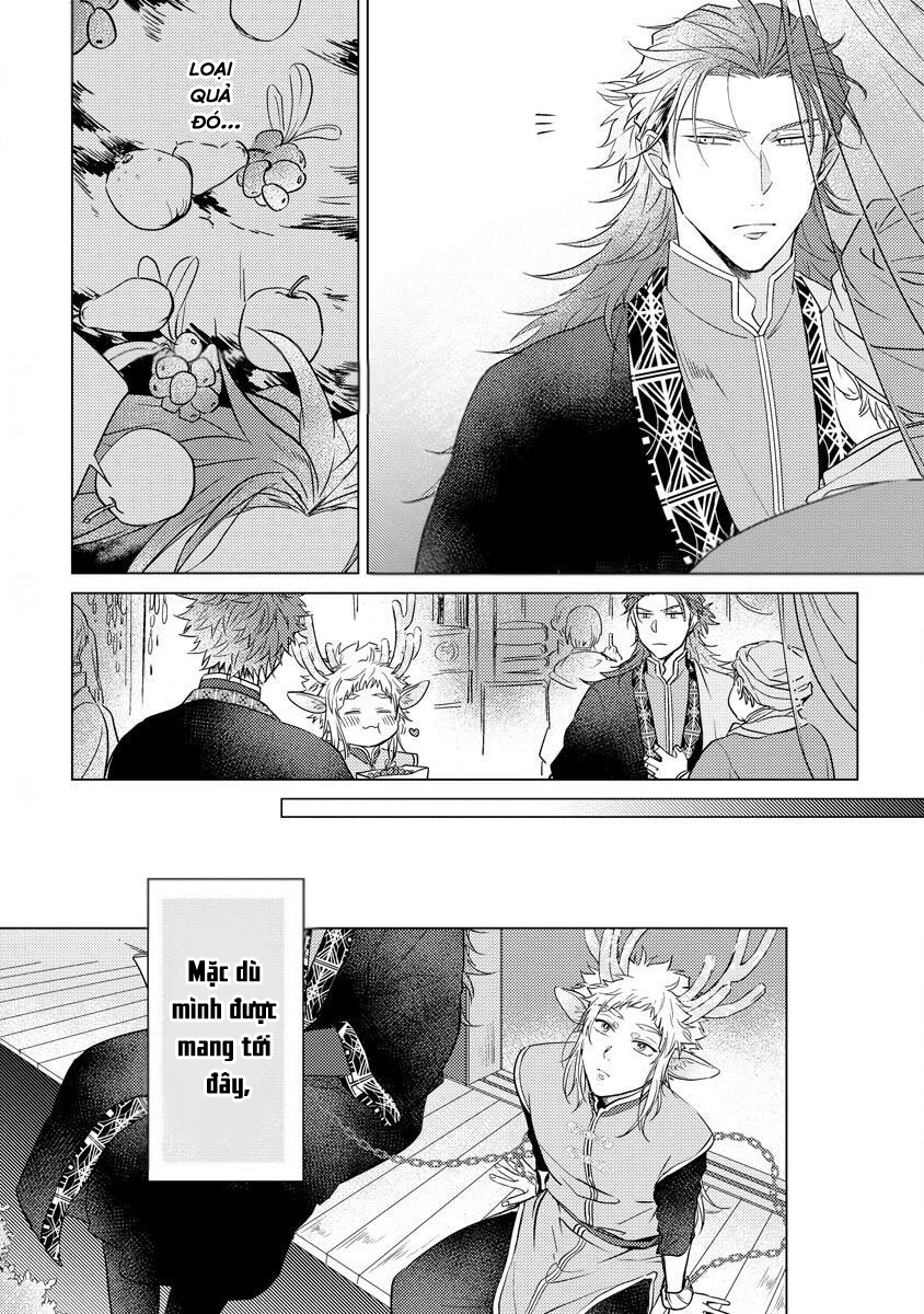 gặp gỡ em, thú nhân màu chàm trắng chapter 3 10