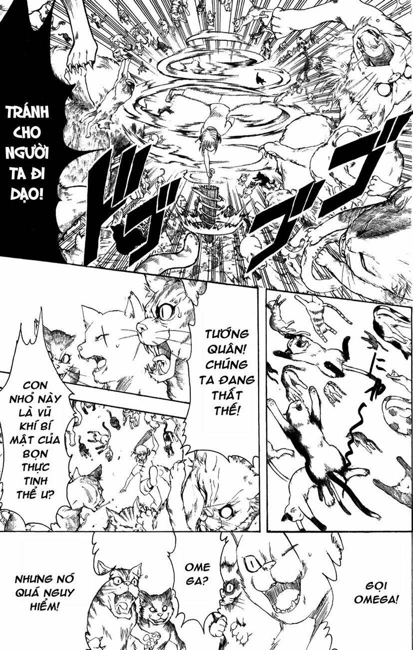 gintama - linh hồn bạc chapter 209 9