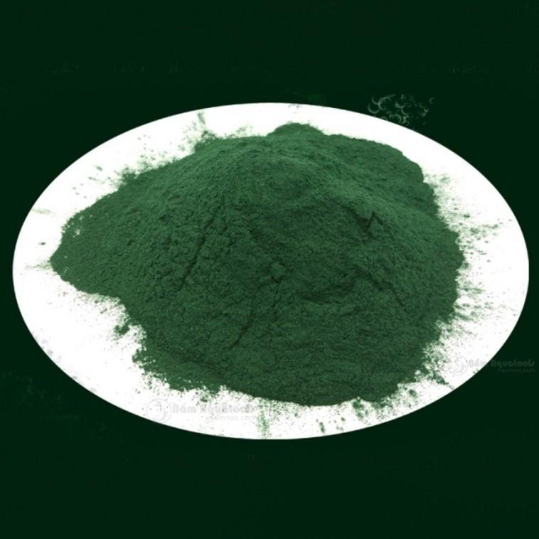 Tảo bột Spirulina 50gram,100gram-Thức ăn cá cảnh, tép cảnh - tảo nuôi artemia, bobo - cá bảy màu-shopleo