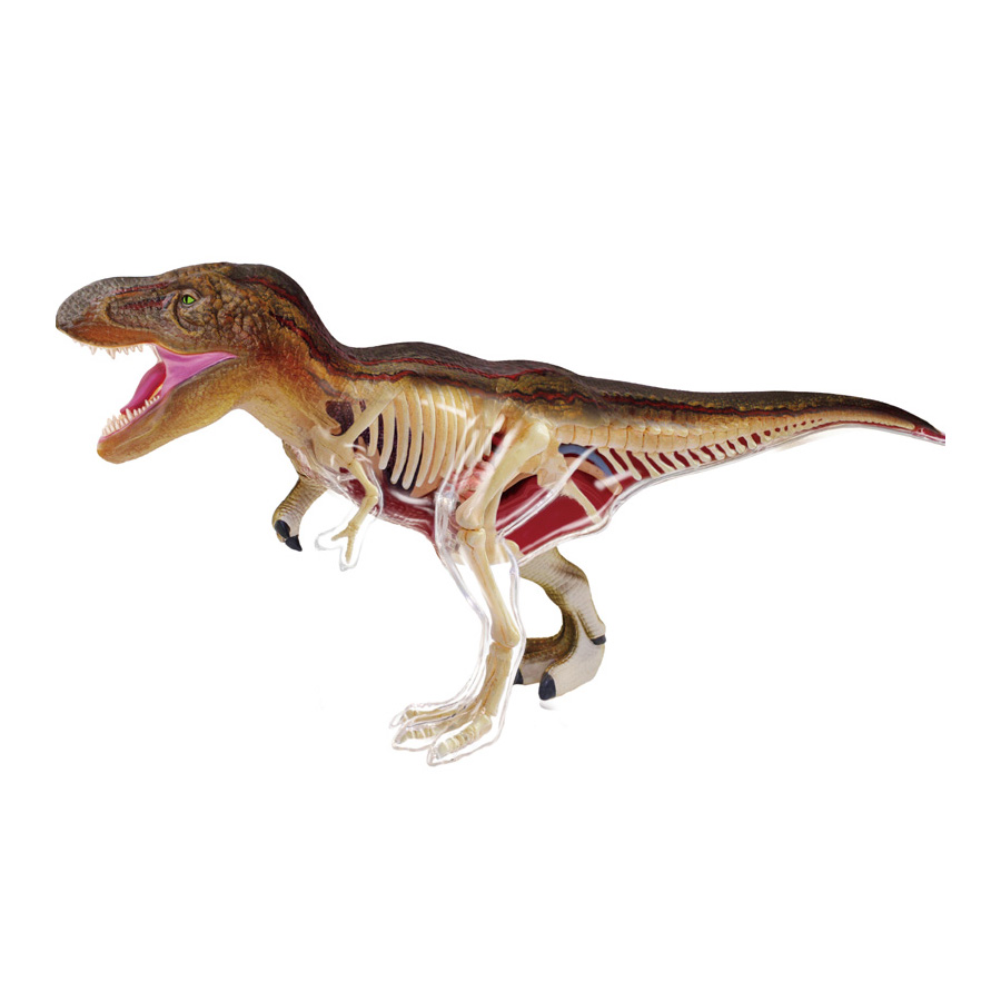 Đồ Chơi Mô Hình Giải Phẫu 4D - Khủng Long T-Rex 4D Master 622013