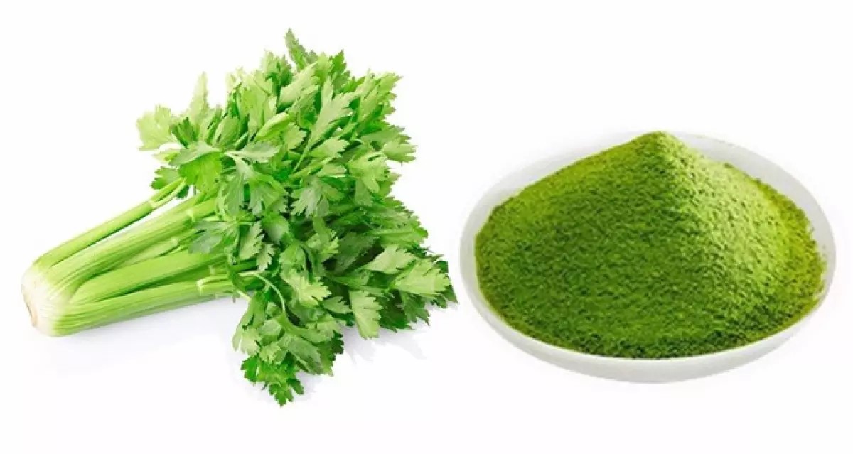 Bột Cần Tây Mật Ong MOTREE Sấy Thăng Hoa Phiên Bản Song Ngữ