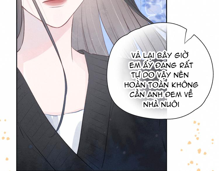 nỗi buồn của hoa cẩm tú cầu chapter 51 52