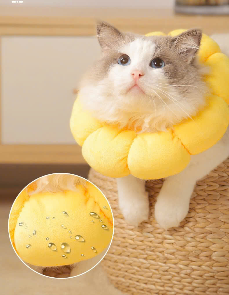 VÒNG CỔ THÚ CƯNG VÒNG CỔ LOA CHỐNG LIẾM CHO THỎ CHÓ MÈO BÔNG HOA DỄ THƯƠNG TỪ 0.5-5.5KG MÃ 10 CHO CHÓ MÈO THỎ