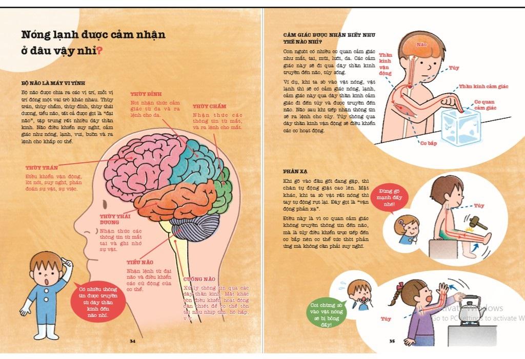 Khám Phá Bí Ẩn Cơ Thể Người (Tái Bản 2022)