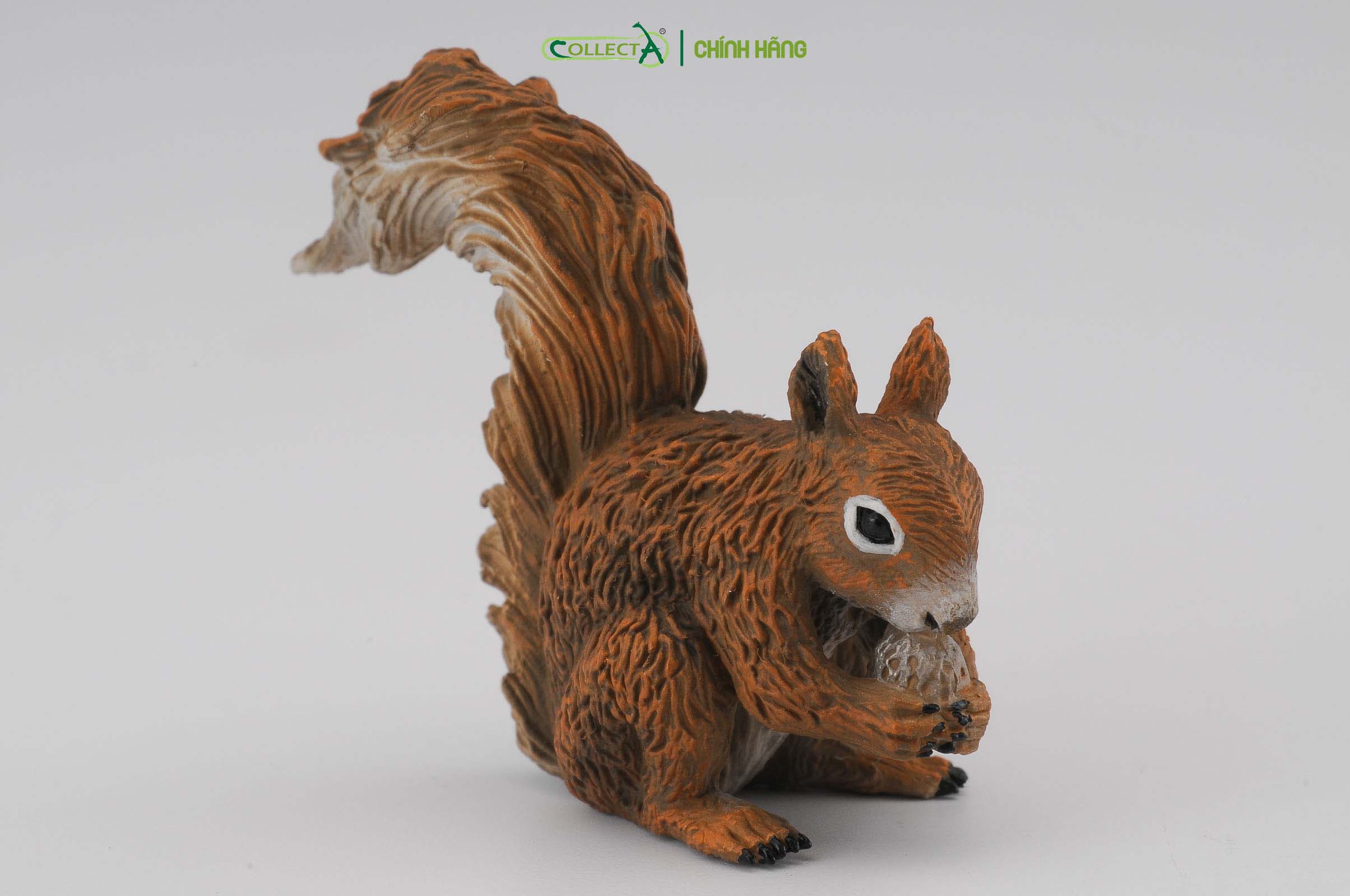 Mô hình thu nhỏ: Sóc - Red Squirrel - Eating, hiệu: CollectA, mã HS 9651330[88467] -  Chất liệu an toàn cho trẻ - Hàng chính hãng