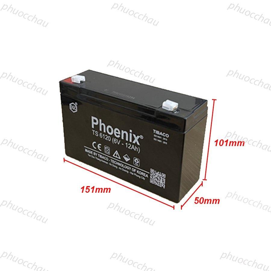Ắc Quy PHOENIX TS6120 6V-12Ah - Chuyên Dùng Cho Nguồn Dự Phòng (UPS, Inverter, ...)