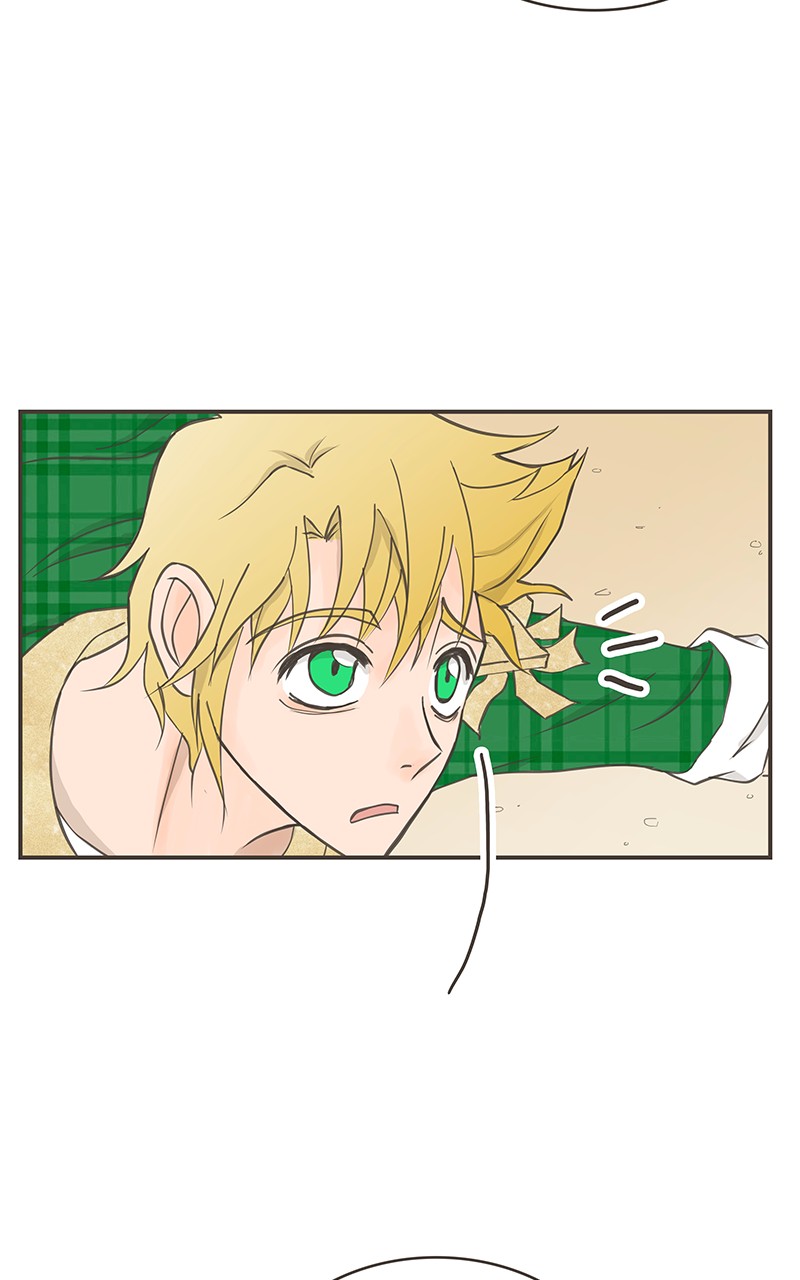 những nàng công chúa bị nguyền rủa chapter 23 33