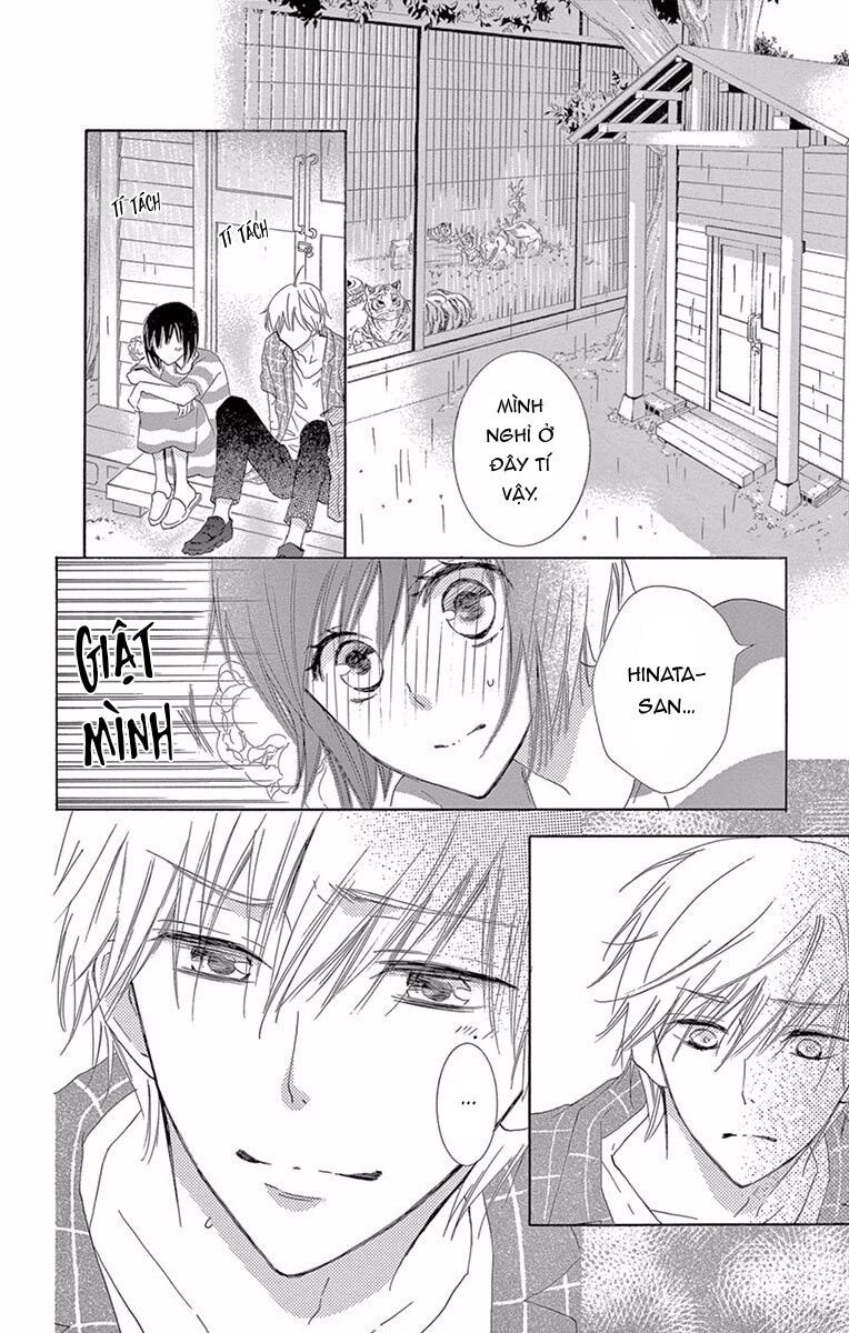 suteinu ni honey toast chapter 4 36