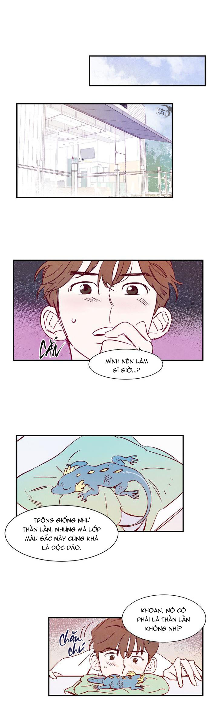 chuyện tình của woonwoo chapter 0 5