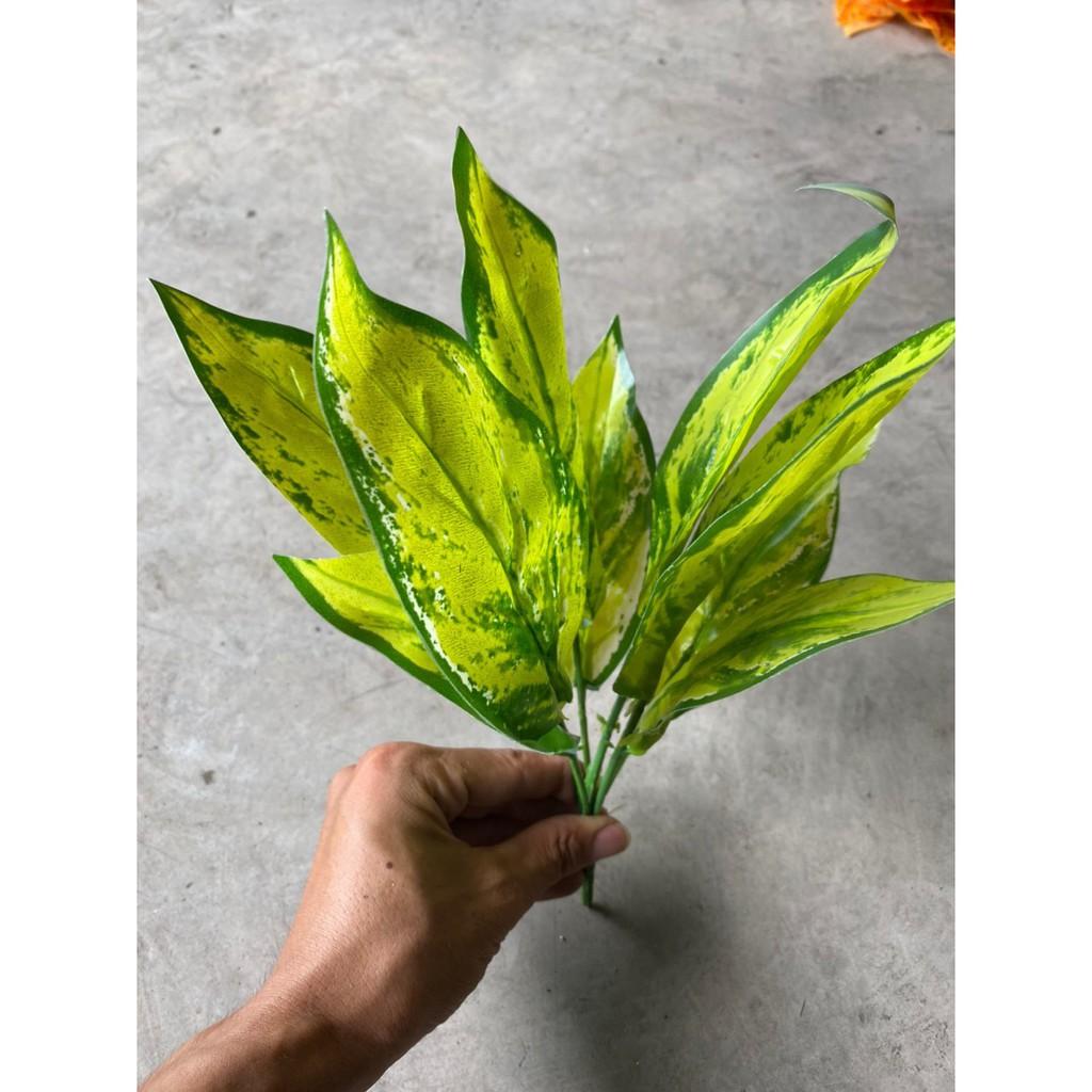 Cành lá dương sỉ điểm trang trí