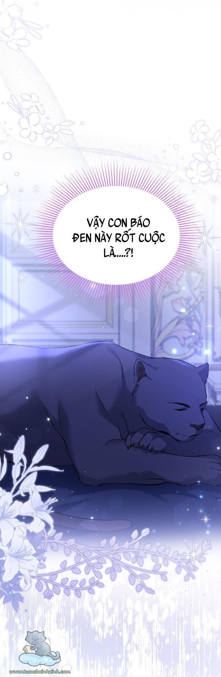 quan hệ cộng sinh giữa báo đen và thỏ trắng chapter 53 68