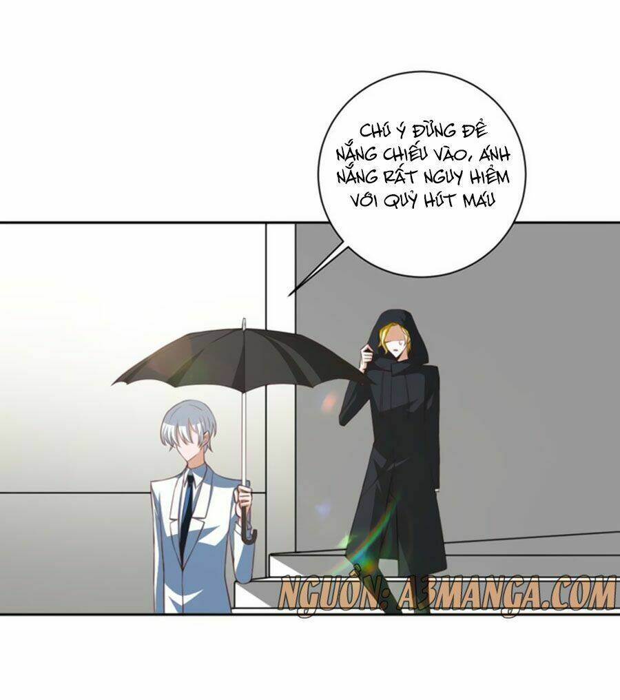 người yêu khát máu của tôi chapter 40 31