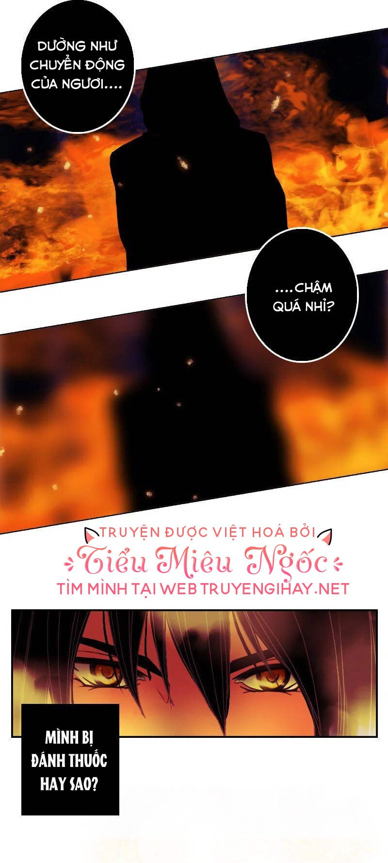 hoàng đế máu lạnh của tôi chapter 97 11