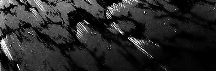 thánh tỏi sành ăn chapter 39 36