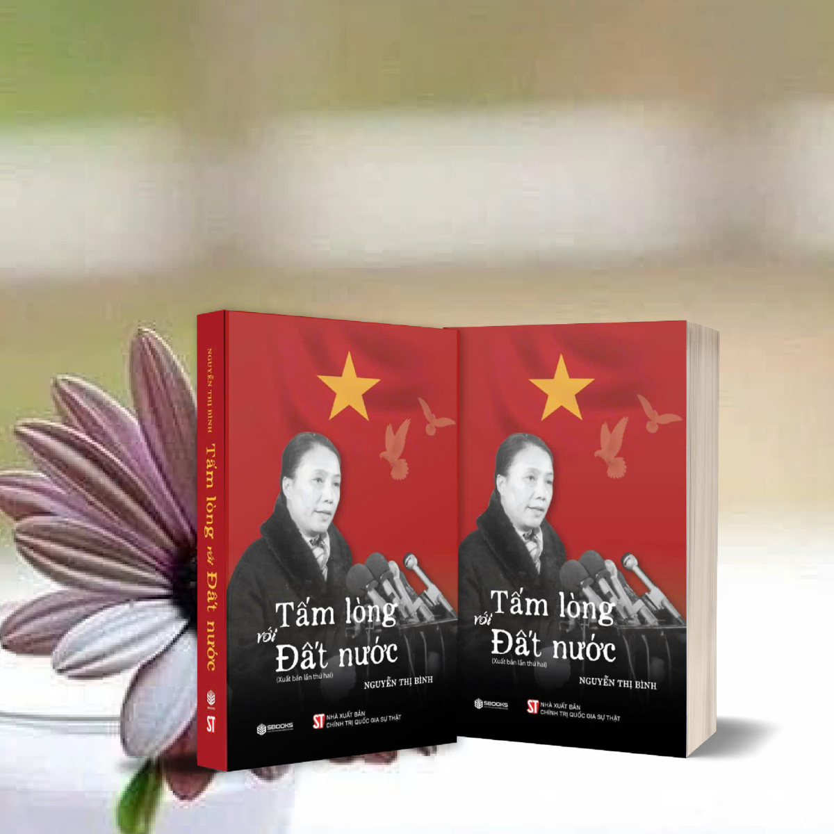 Sách - Tấm Lòng Với Đất Nước