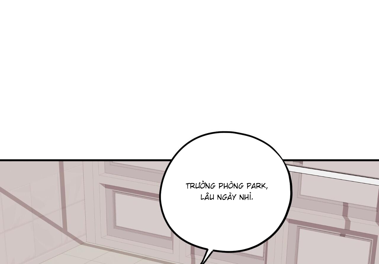 chàng dâu nhà họ kang chapter 32 104