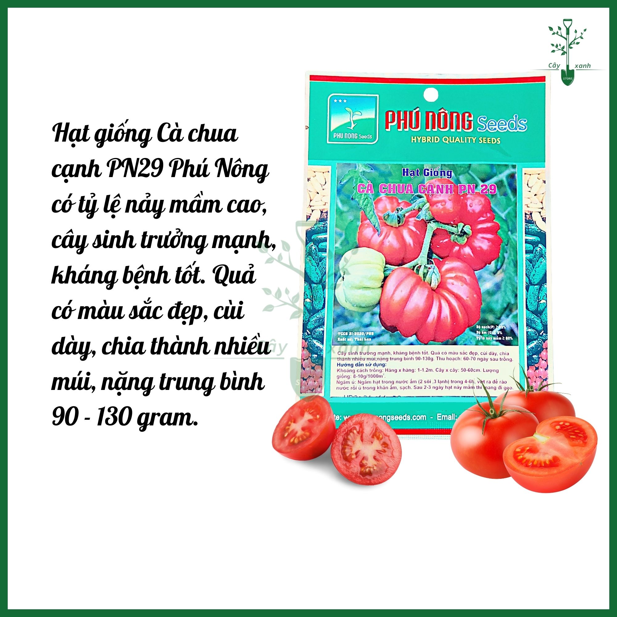 Hạt giống cà chua cạnh PN 29 gói 200mg Phú Nông Seeds sinh tưởng mạnh siêu kháng bệnh - Cây Xanh Store