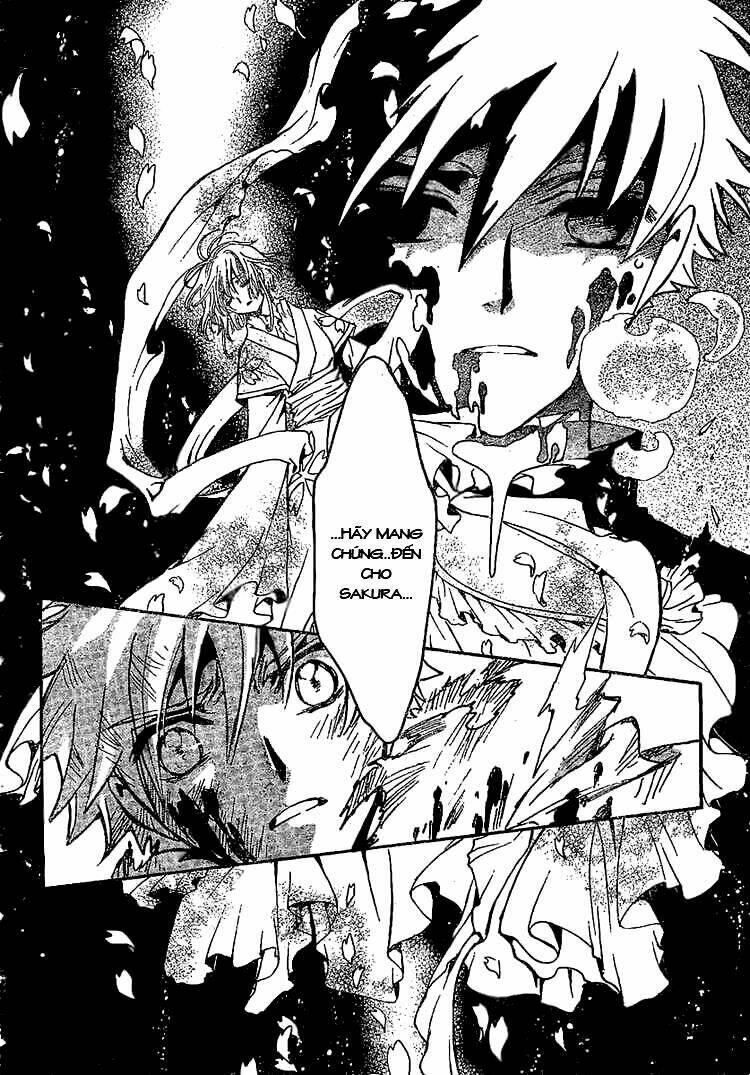 huyền thoại đôi cánh chapter 210 11