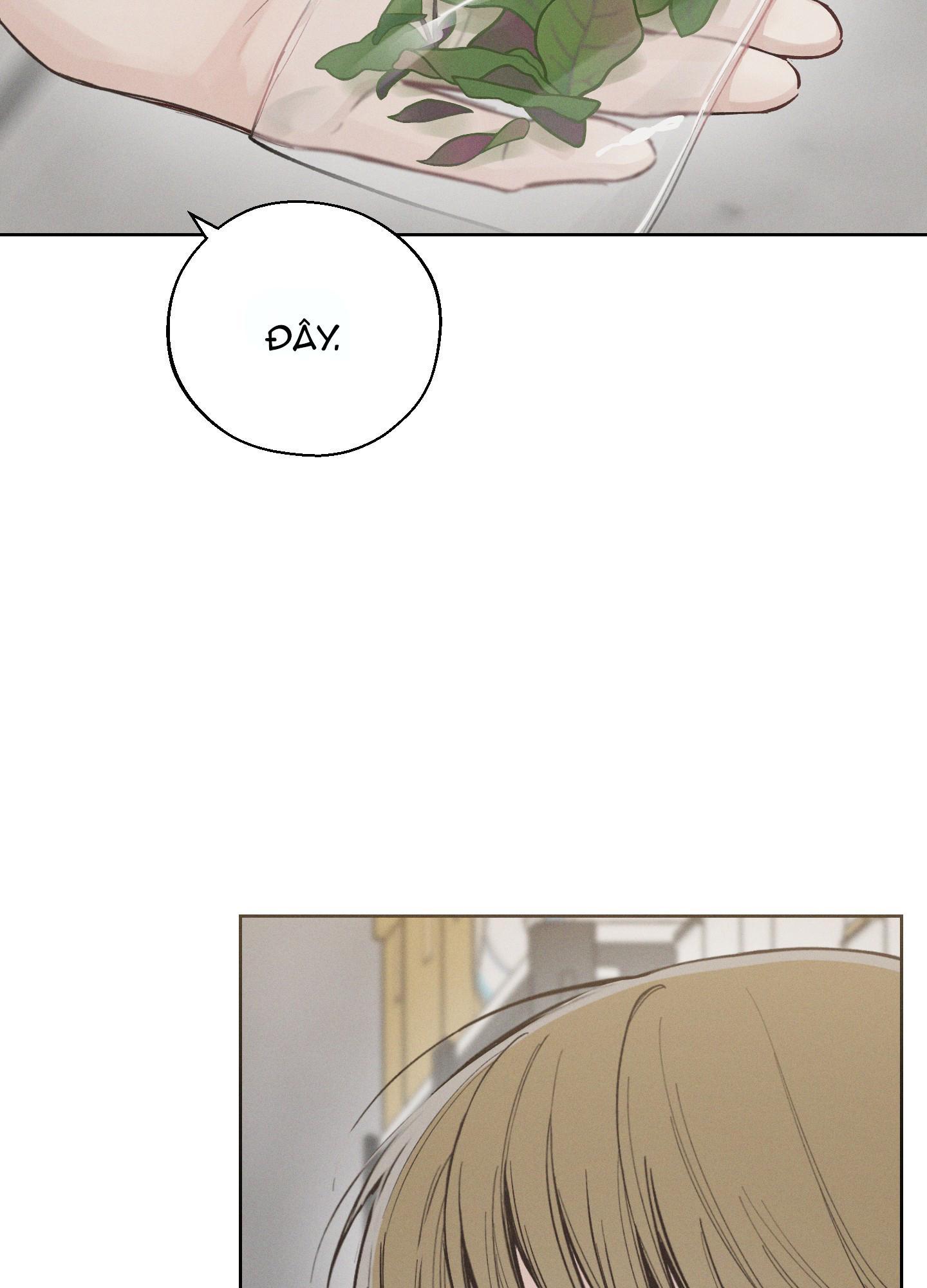 tháng 12 chapter 26 33