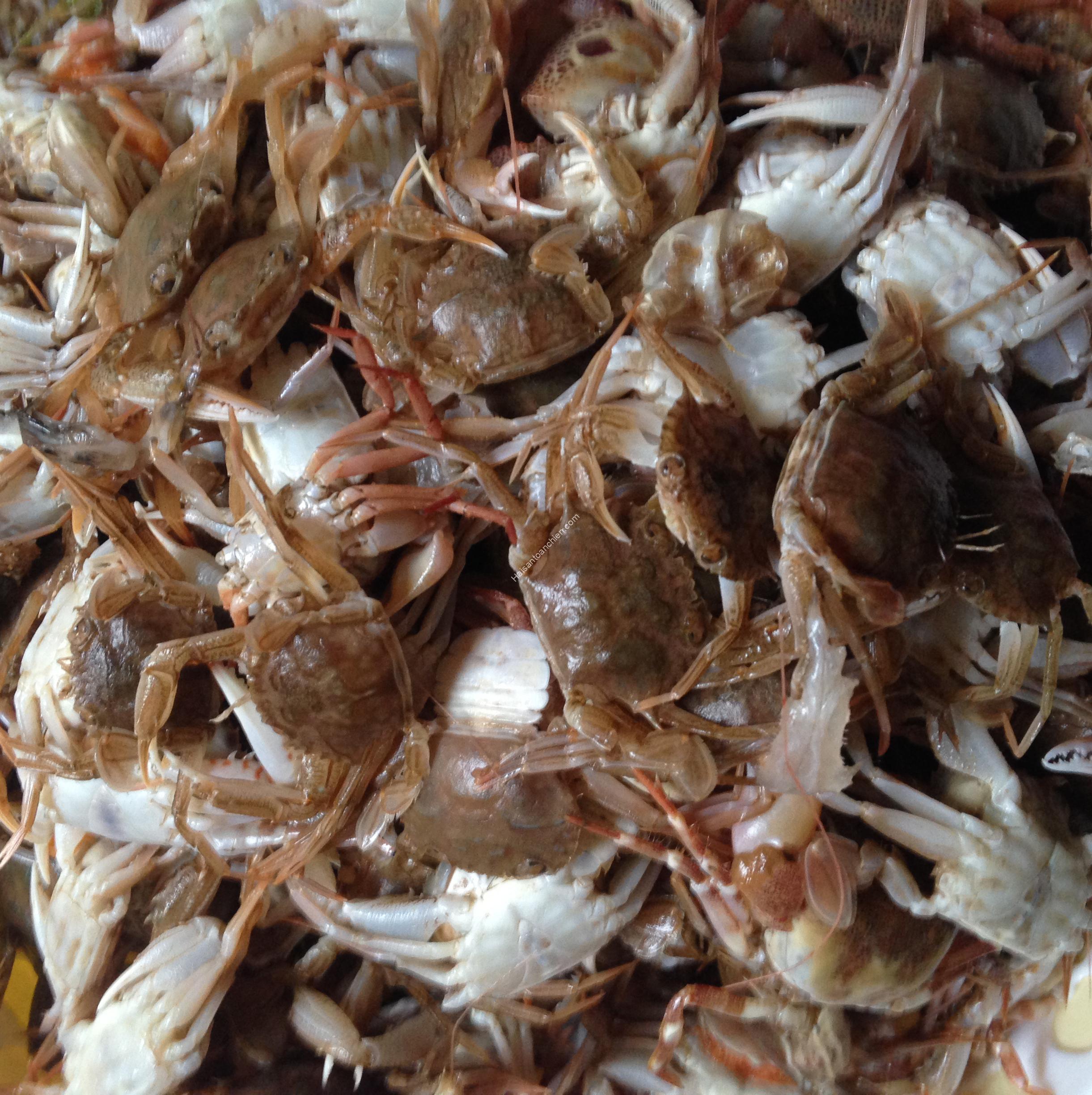 Ghẹ Sữa - 1kg