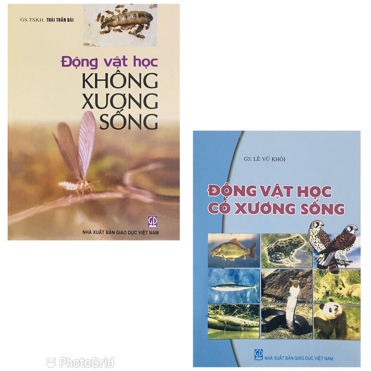 Combo Động Vật Học Không Xương Sống + Động Vật Học Có Xương Sống