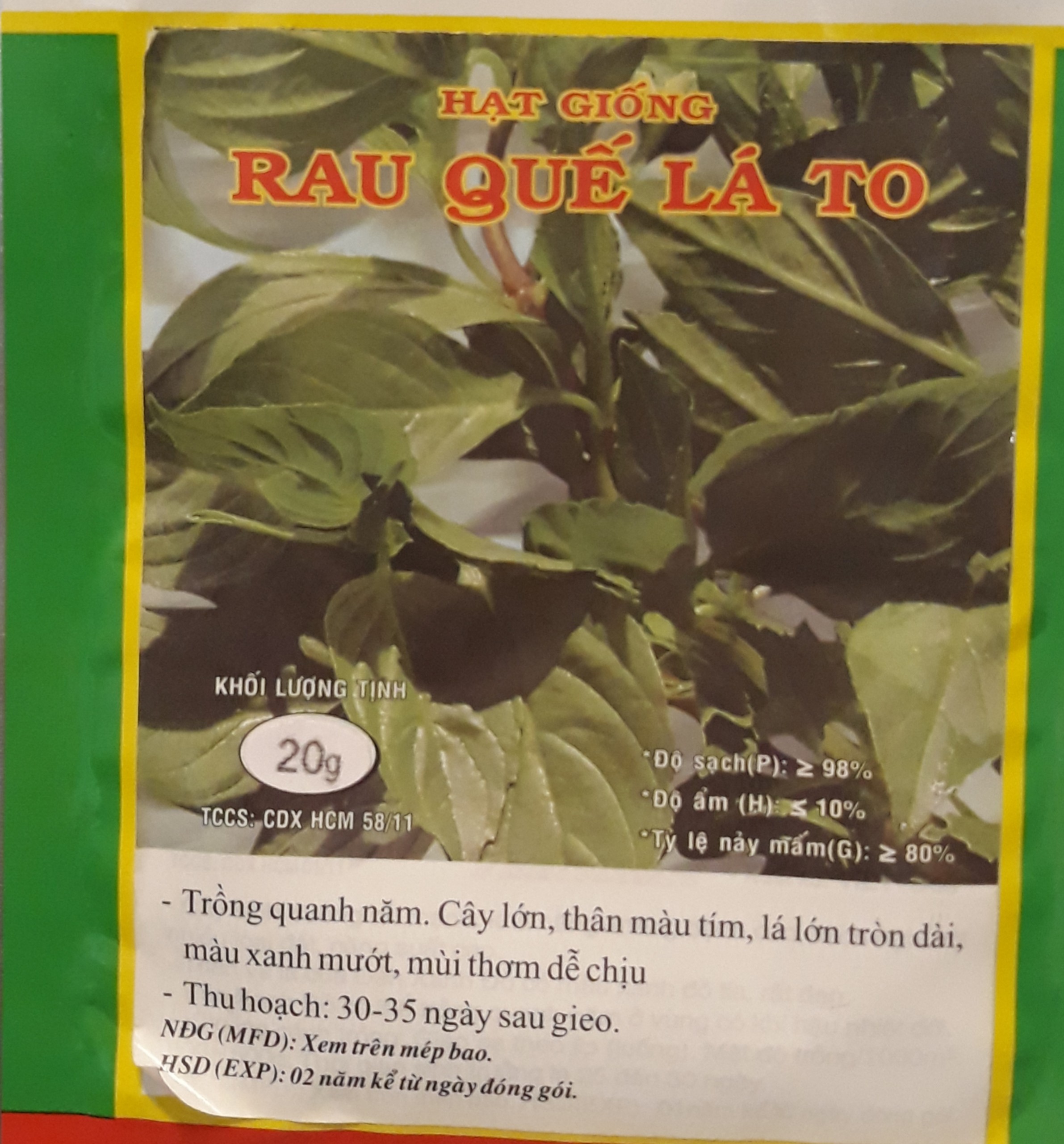 Shop Midori_Hạt giống rau húng quế lá to