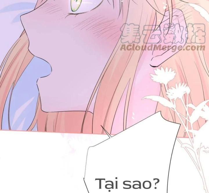 chanh vàng chapter 25 12