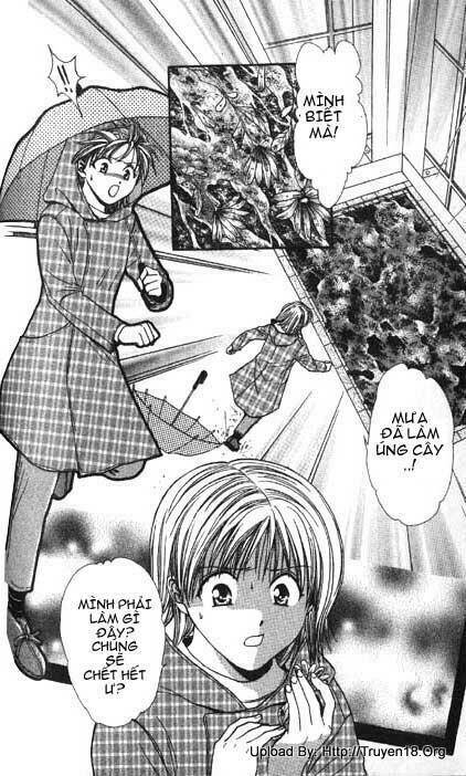 cô bé nghèo khó chapter 3 24