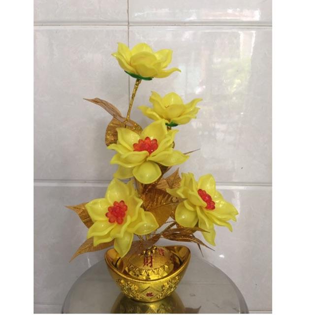 Chậu hoa để bàn thờ cao 38cm