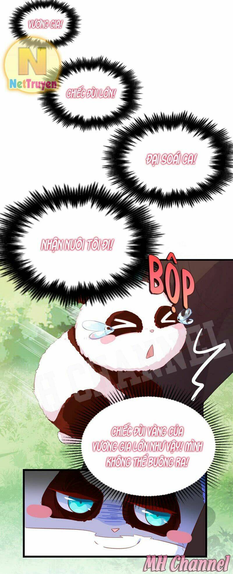 thiên thần gấu trúc muốn được ôm chapter 6 8