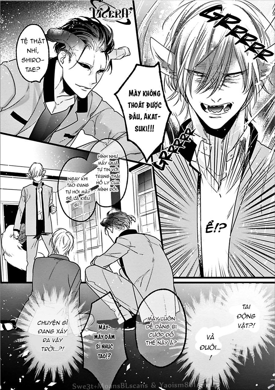 trăng sáng xuất hiện nơi khu rừng huyền bí chapter 1 17