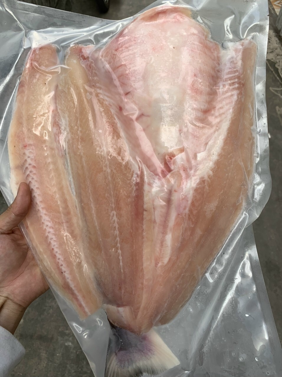 Cá basa 1 nắng - Gói 1kg