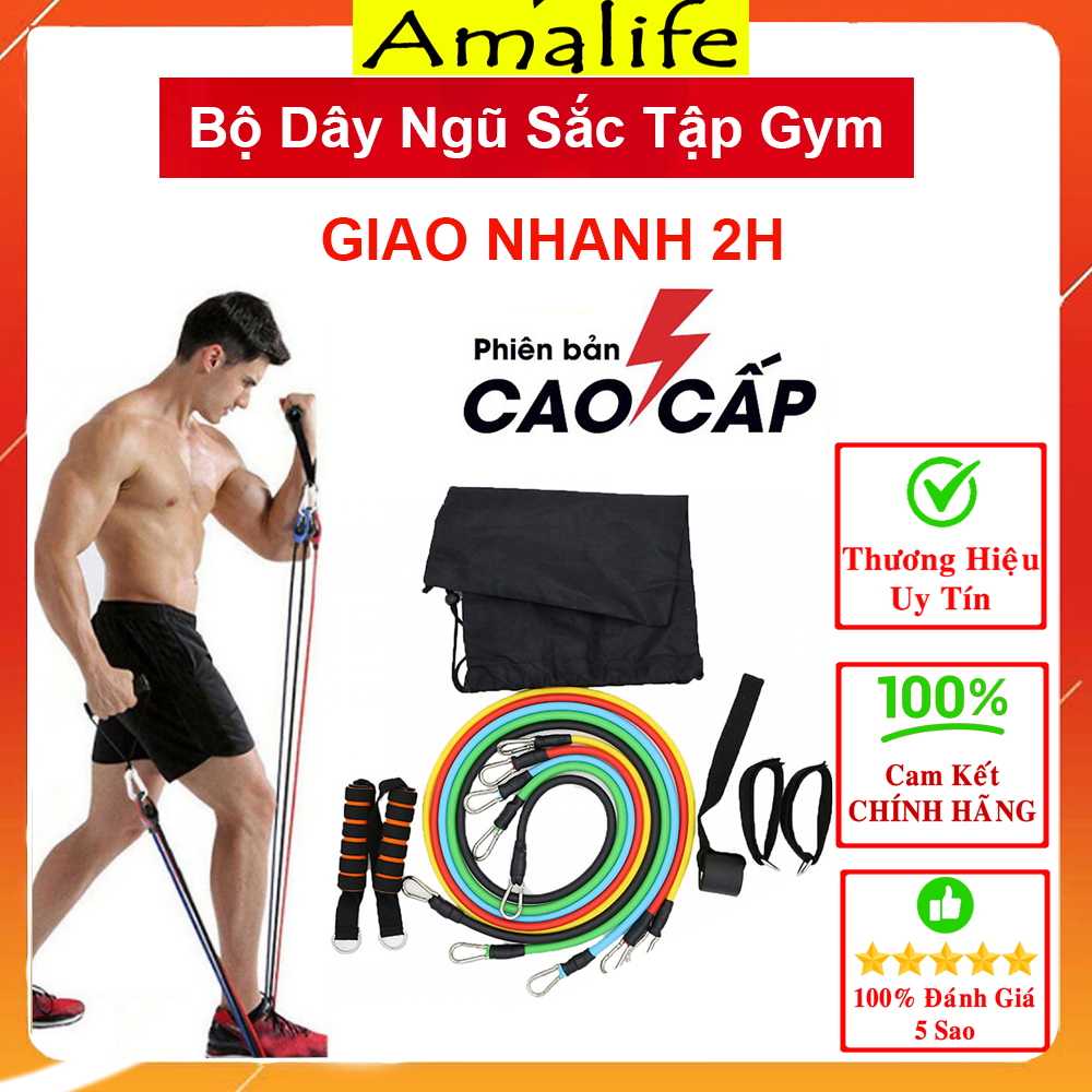 Bộ 5 Dây Ngũ Sắc Đàn Hồi Tập Gym, Tập Thể Hình Amalife - Bản Cao Cấp - Chính Hãng