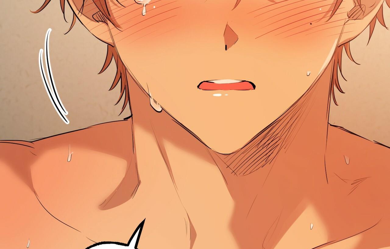 đàn thỏ của habibi chapter 26 65