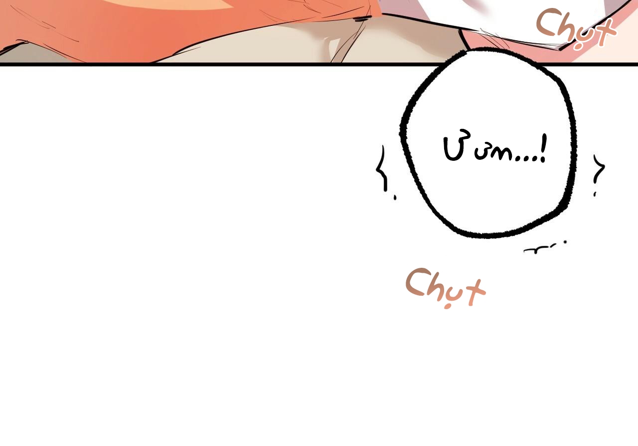 đàn thỏ của habibi chapter 29 5