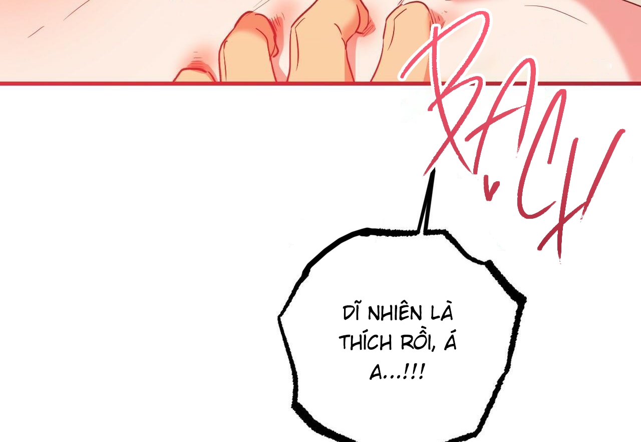 đàn thỏ của habibi chapter 54 237