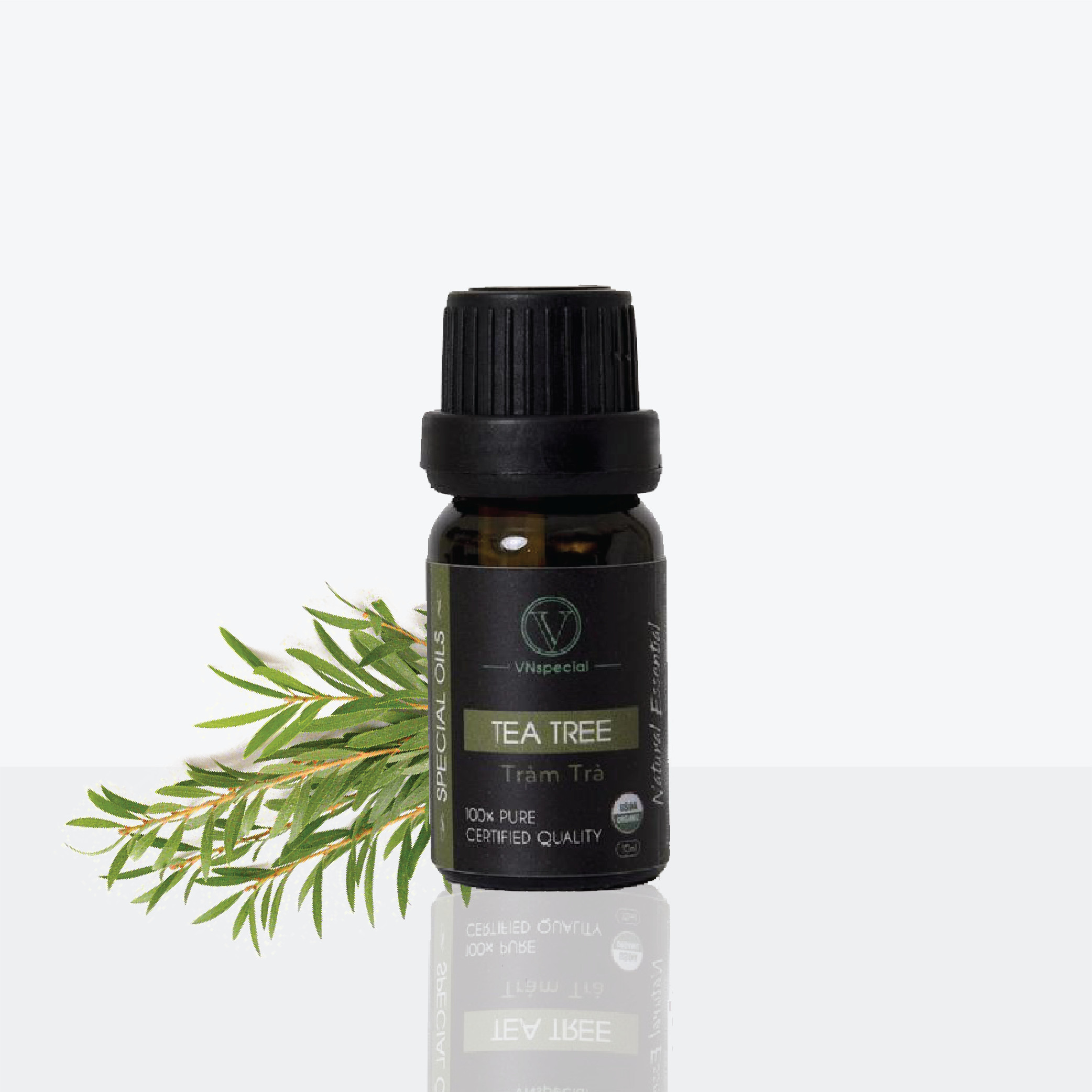 Tinh Dầu Hữu Cơ Tràm Trà | Organic Tea Tree Oil | Tinh dầu Nhập Khẩu USDA- Vnspecial Oils (10ml)