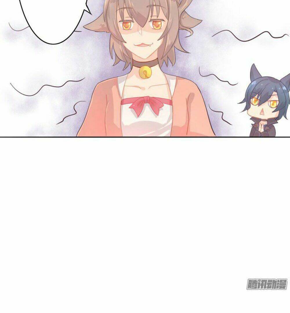 hai chú mèo totem chapter 1 47