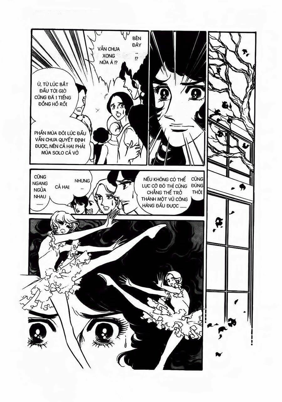 swan - vũ khúc thiên nga chapter 13 17