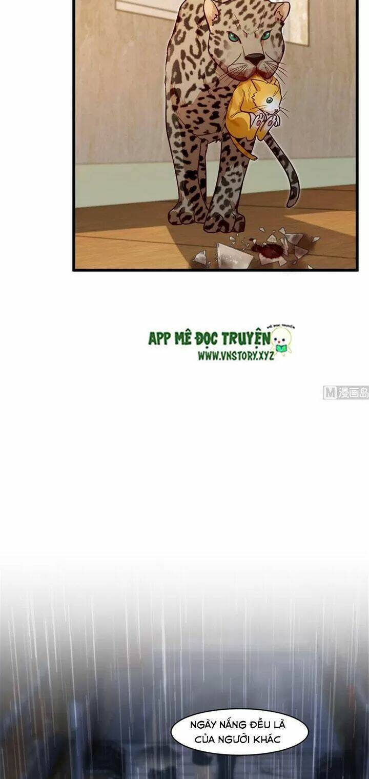 thiên hậu trở về chapter 186 27