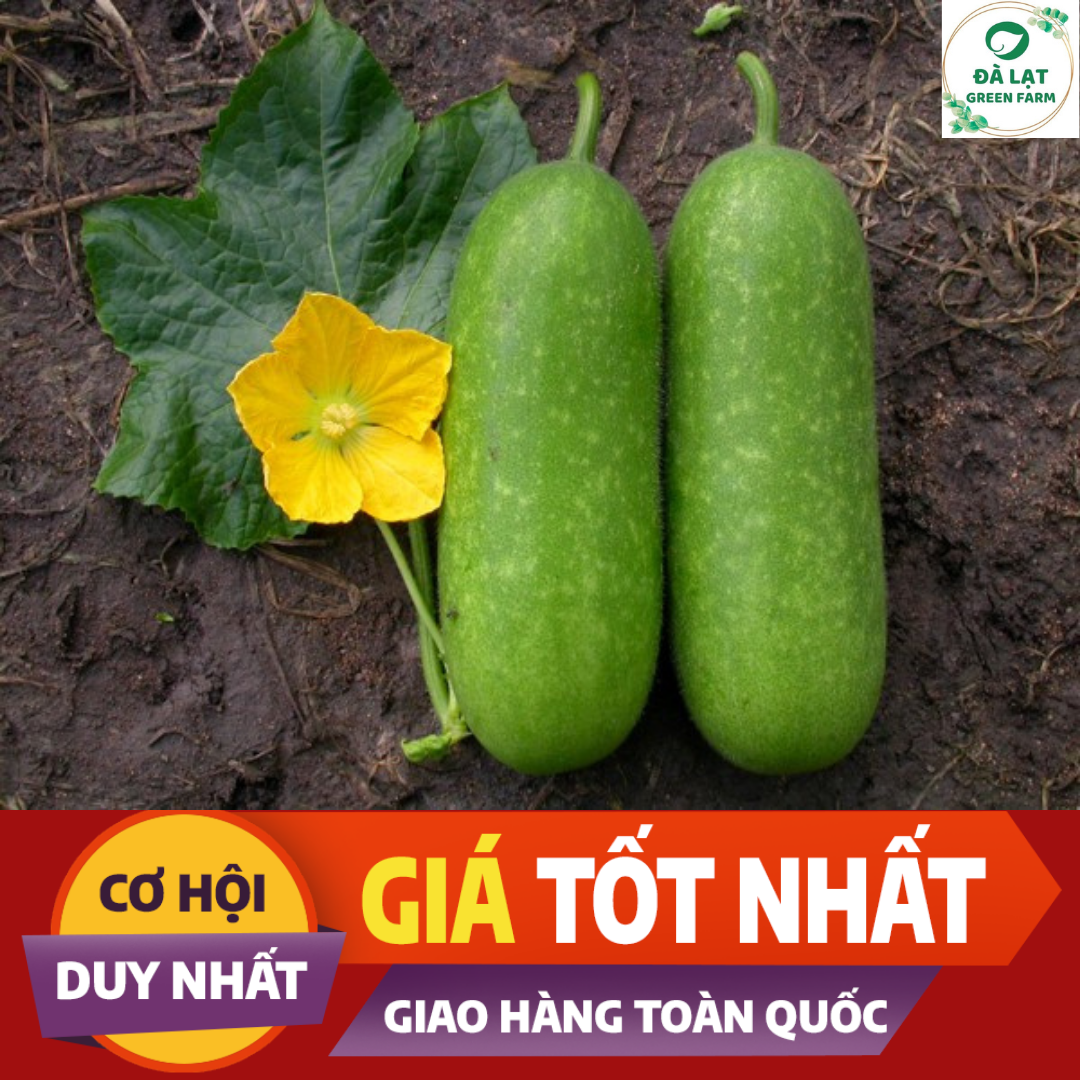 Hạt giống Bí Đao Chanh - nảy mầm cực chuẩn (15 hạt)