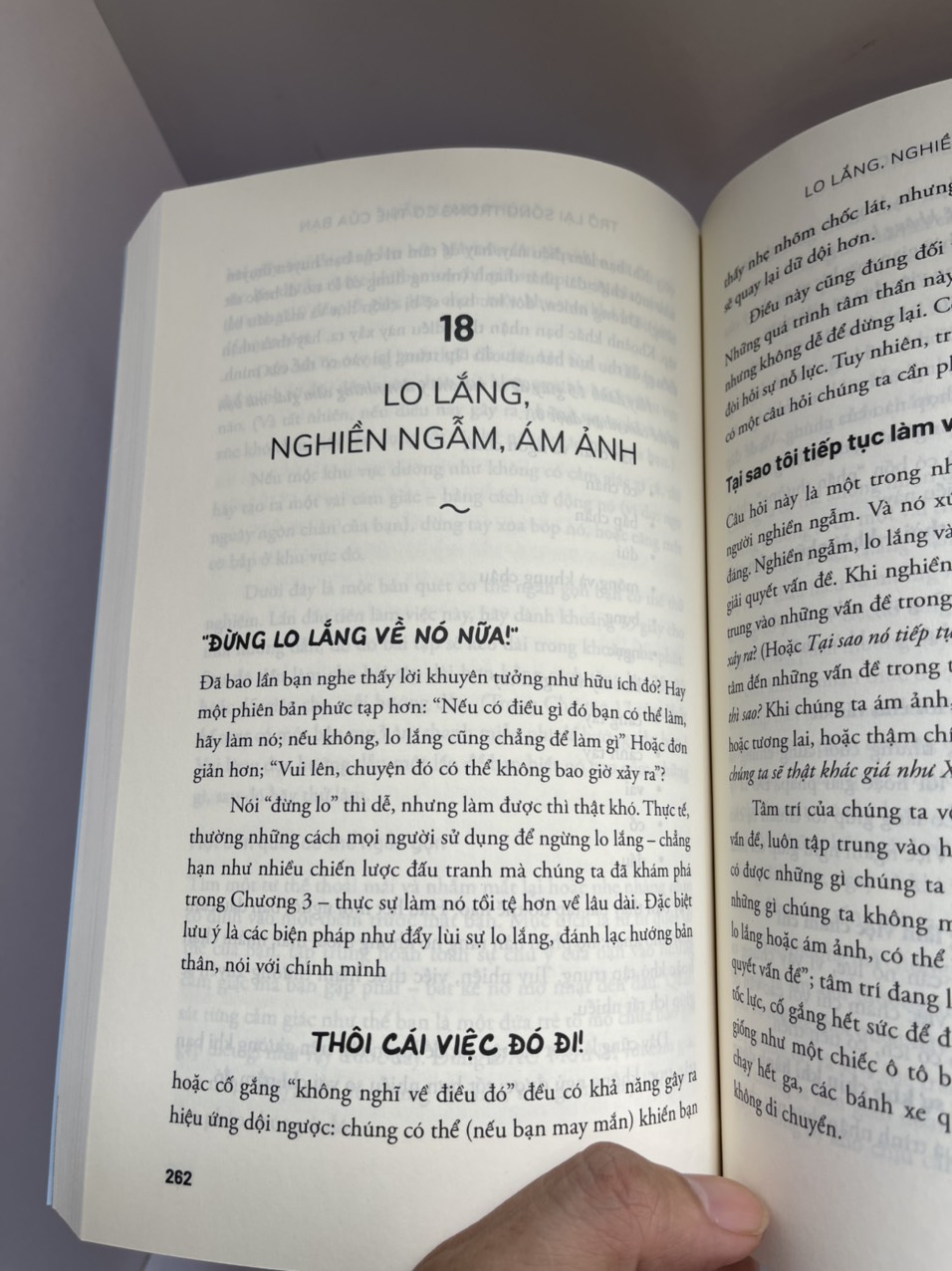 BẪY HẠNH PHÚC: NGỪNG VẬT LỘN VÀ BẮT ĐẦU SỐNG – Russ Harris - Omega plus