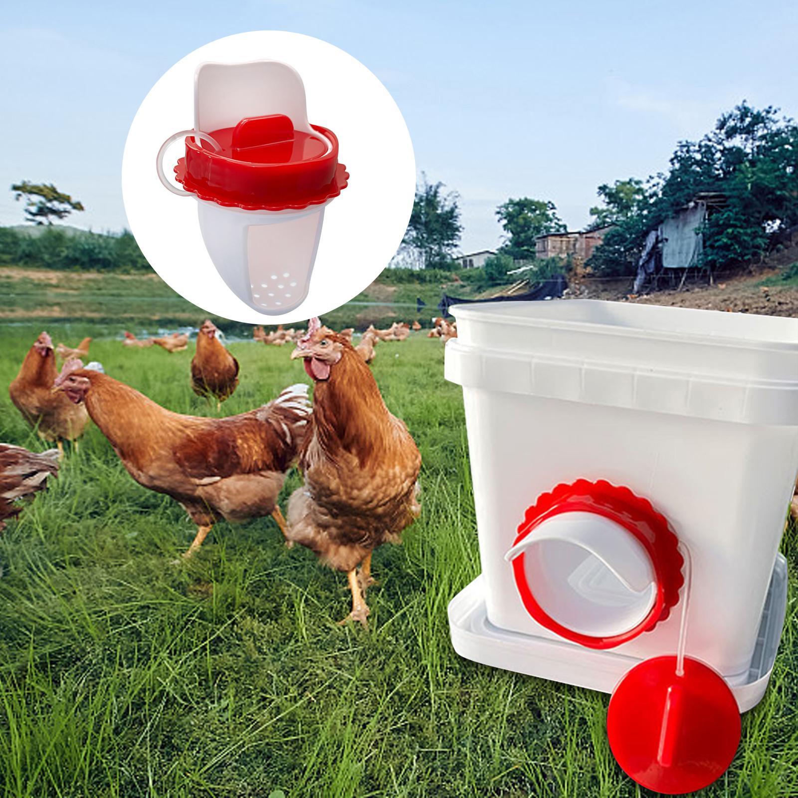 Poultry Feeders Weather Resistant Automatic Chicken Feeders for Boxes Tanks
