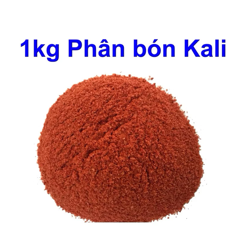 1kg Phân Bón Kali đỏ bột Phú Mỹ Giúp Ra Hoa Nhiều, Tạo Trái Sai, Ngọt Trái, Chống ngã cây